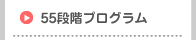 55段階プログラム
