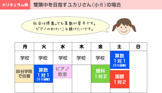中学受験を目指すユカリさん(小6)の場合