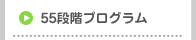 55段階プログラム