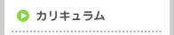 カリキュラム