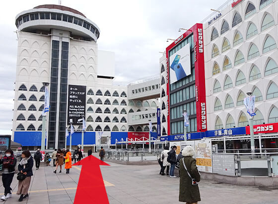 ビックカメラを右手に直進